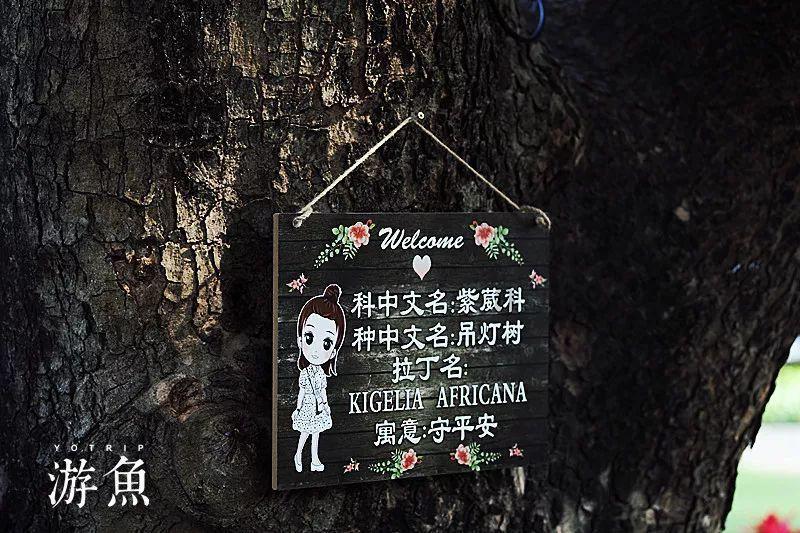 我想学法律，父母反对，您有什么建议么？游戏画面